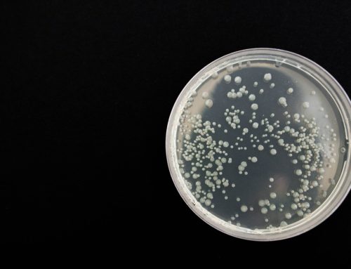 DNA Sequencing & Antibiotic Resistant Chronic Infections