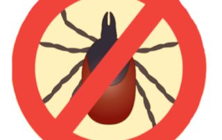 avoid ticks lyme disease prevention