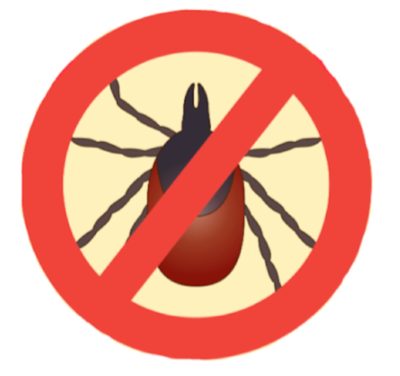 avoid ticks lyme disease prevention