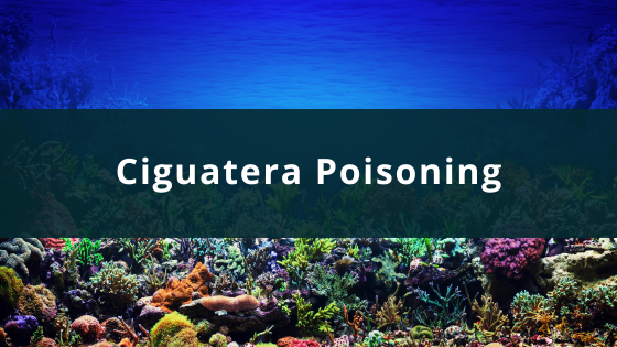 Ciguatera Poisoning