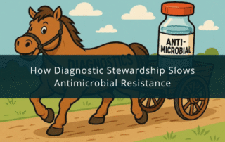 How Diagnostic Stewardship Slows Antimicrobial Resistance